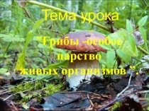 8 класс. Урок по биологии на тему Грибы