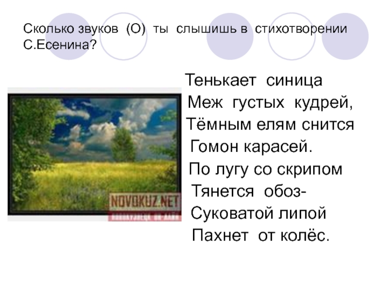 Стихотворение есенина что это такое. Стихи Есенина. Стихи Есенина 3 класс. Есенин стихи 3 класс. Стихи Есенина о природе.