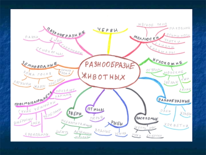 Ментальная карта по теме глагол 3 класс