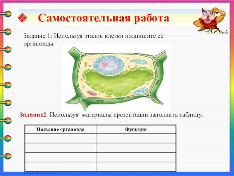 Самостоятельные клетки. Задания по теме клетка. Клетка проверочная работа. Самостоятельная работа на тему клетка. Строение клетки самостоятельная работа.