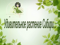 Презентация к уроку по развитию речи на тему Лекарственное растение - подорожник