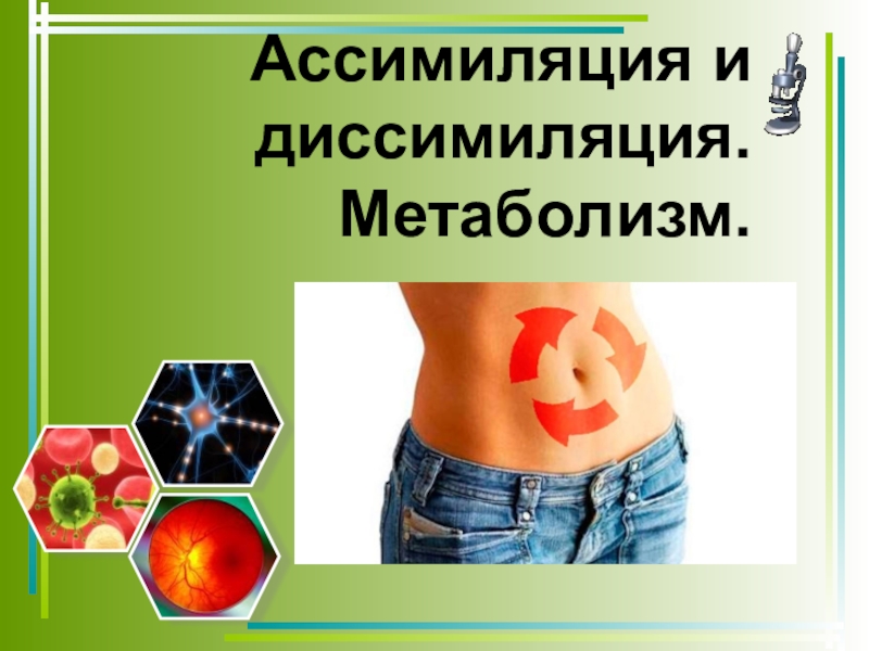 Презентация Презентация по биологии на тему Метаболизм