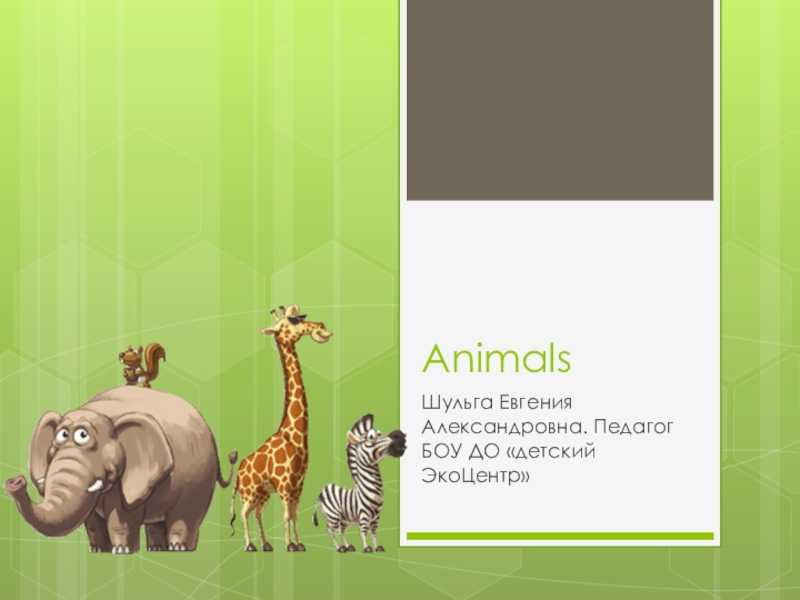 Презентация по английскому языку на тему Животные