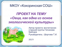 Проект на тему Овца, как одна из основ экологической культуры