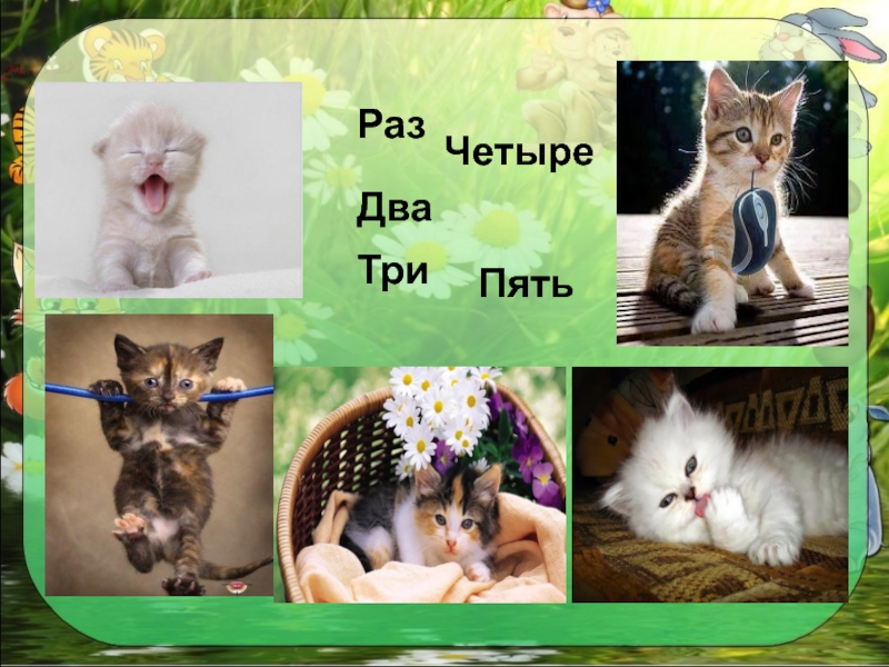 Урок чтения котята. Михалков котята презентация. Котенок 1 класс. Михалков котята 1 класс. Котенок для презентации.