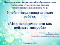 Презентация: Учебно-исследовательская работа: Мир невидимок или как поймать микроба