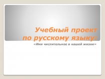 Презентация по теме Имя числительное в нашей жизни