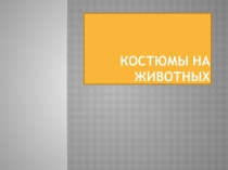 Костюмы на животных Релаксация