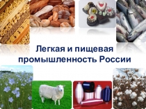 Презентация к уроку Легкая и пищевая промышленность России