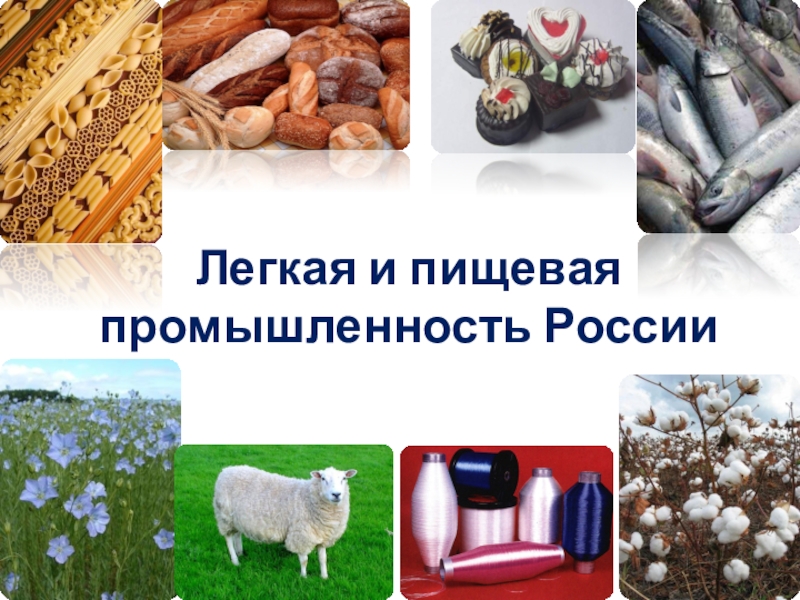 Презентация Презентация к уроку Легкая и пищевая промышленность России