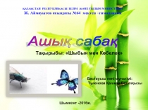 Презентация Әдебиеттік оқу Шыбын және Көбелек 4 сынып