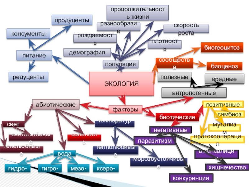 ЭКОЛОГИЯпитаниепродуцентыконсументыредуцентысообществапопуляциябиогеоцитозбиоценозпродолжительность жизнискорость ростаразнообразиедемографиярождаемостьплотностьфакторыполезныевредныеантропогенныеабиотическиесветсветолюбивыетенелюбивыеводагидро-гигро-мезо-ксеро-соленостьтемпературатеплолюбивыеморозоустойчивыебиотическиепозитивныесимбиозпротокооперацилмутализмнегативныепаразитизмхищнечествоконкуренцииаменсалиции
