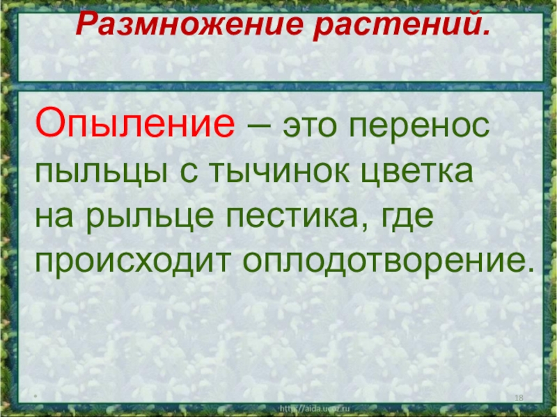 Опыление растений 3. Опыление это 3 класс. Опыление растений 3 класс окружающий мир. Опыление это 3 класс окружающий мир. Опыление растений 3 класс.