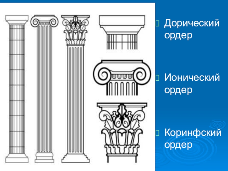 Колонна ионического ордера рисунок