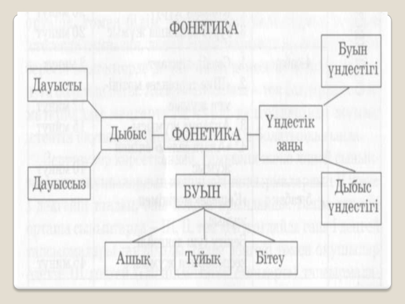 Фонетика нені зерттейді