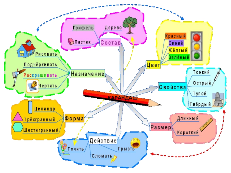 Ментальная карта овощи