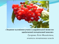ЗУН учеников по украинскому языку по окончании начальной школы