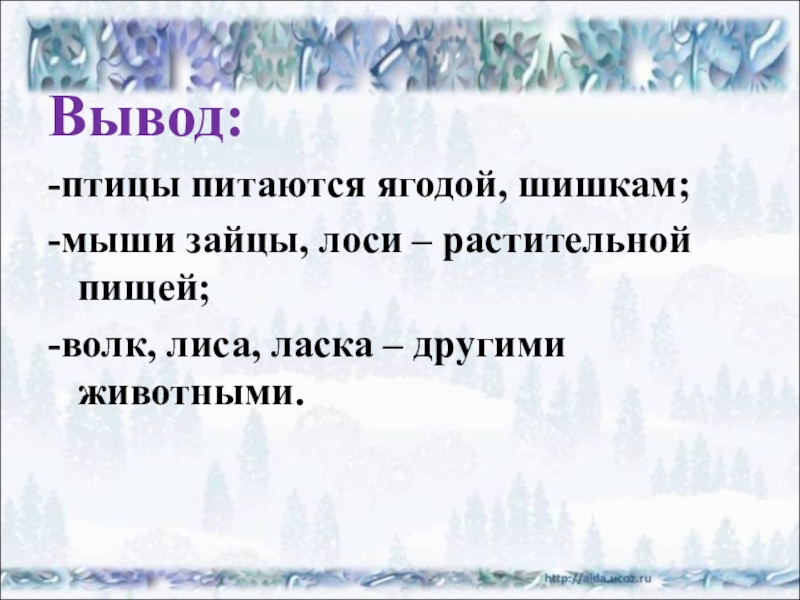 Жизнь животных зимой 2 класс. Зимняя жизнь птиц 2 класс. Зимняя жизнь птиц 2 класс окружающий мир. Зимняя жизнь птиц и зверей рассказ. Зимняя жизнь птиц и зверей 2 класс перспектива.