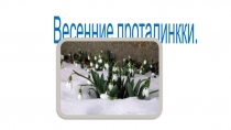 Презентация Весенние проталинки Работа ученика 1 класса Лысова Алексея, руководитель Куницына Антонина Степановна.