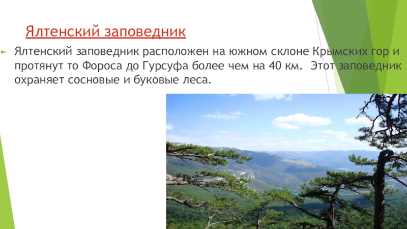 Ялтенский. Растительность Северного склона крымских гор.