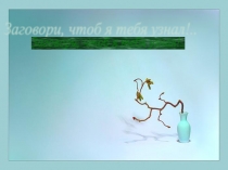 ПрезентацияЗаговори, чтоб я тебя узнал для проведения классного часа.