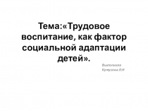 Презентация Трудовое воспитание как фактор социальной адаптации детей