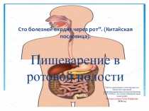 Презентация по биологии на тему Пищеварение в ротовой полости 8 класс