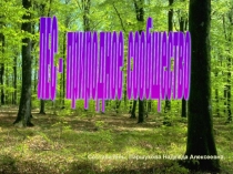 Презентация по биологии ЛЕС - природное сообщество.