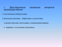 Презентация по биологии 7 класс на тему Класс Головоногие моллюски