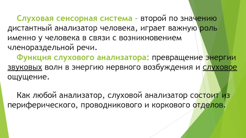 Слуховая сенсорная система. Возрастные особенности слуховой сенсорной системы. Возрастные особенности слуховой сенсорной системы кратко. Дистантные анализаторы. Роль слухового контроля в речеобразовании.