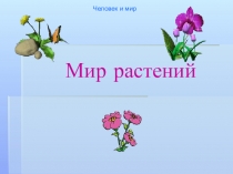 Презентация по предмету Человек и мир  Мир растений.