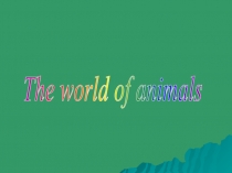 Презентация к уроку 7класса по теме Animals