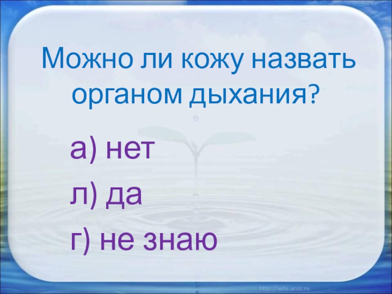 Окружающий мир 3 класс надежная защита организма. Можно ли кожу назвать органом дыхания. Можно ли кожу назвать органом дыхания ответ. Можно ли кожу назвать органом дыхания 3 класс.