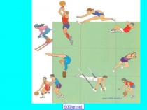 Презентация Виды физической культуры