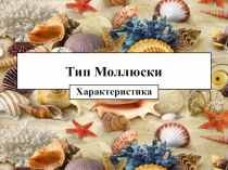 Презентация по биологии на тему Тип Моллюски (7 класс)