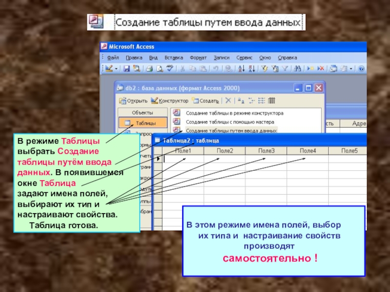 Задать поле. Создание таблицы путем ввода данных. Создание таблицы и занесение данных. Ввод данных в таблицу. Создание и сохранение таблиц,.