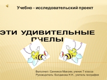 Презентация Эти удивительные пчелы