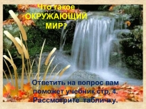 Презентация Этот удивительный мир 1 класс