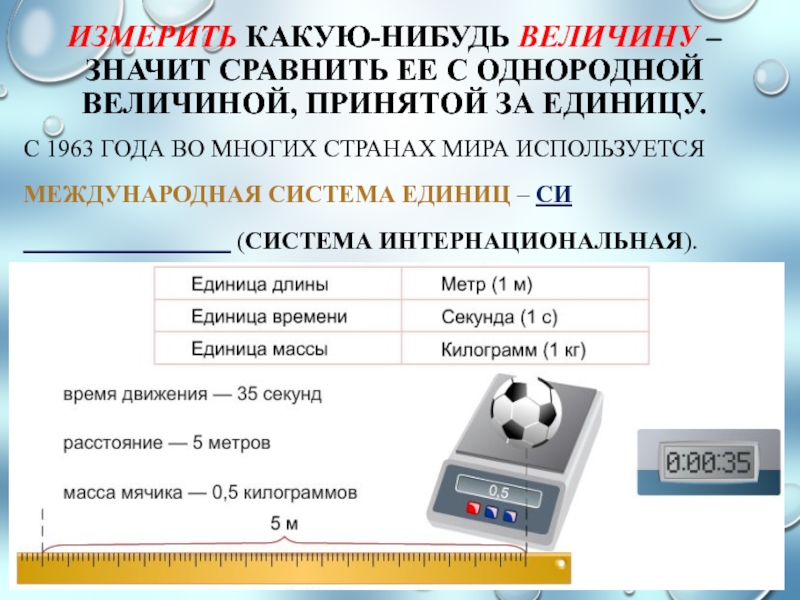 Измерение физических характеристик домашних животных презентация