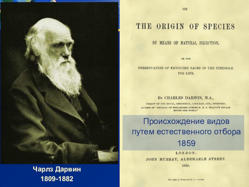 Происхождение видов 64 глава на русском