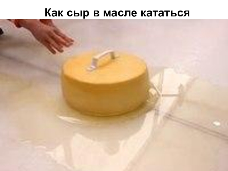 Как сыр в масле стрижка