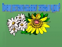 Почему растения называют зелёным чудом?. Окружающий мир.
