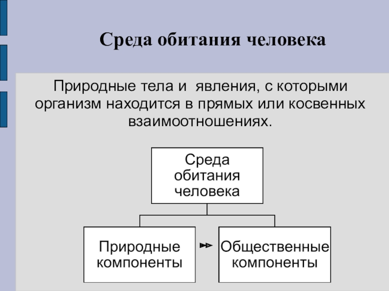 Среда обитания человека это