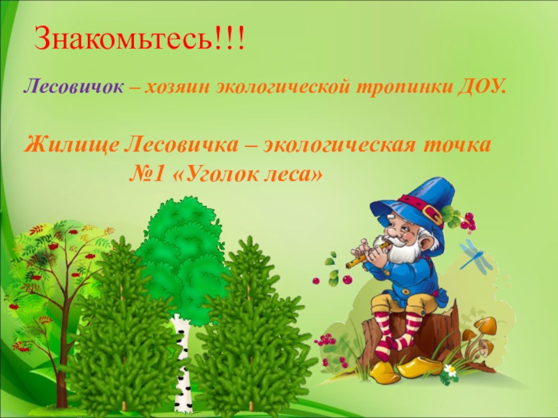 Презентация путешествие по экологической тропе для дошкольников