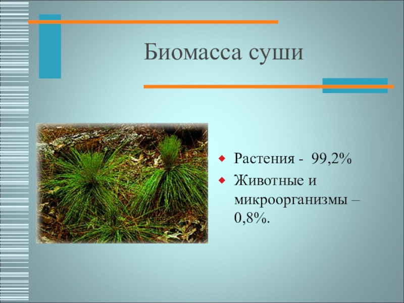 Сравните суммарную биомассу суши и океана. Биомасса суши. Растения обитатели суши. Биомасса растений. Биомасса растений суши.