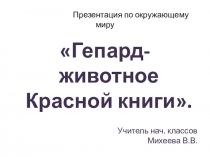 Презентация по окружающему миру