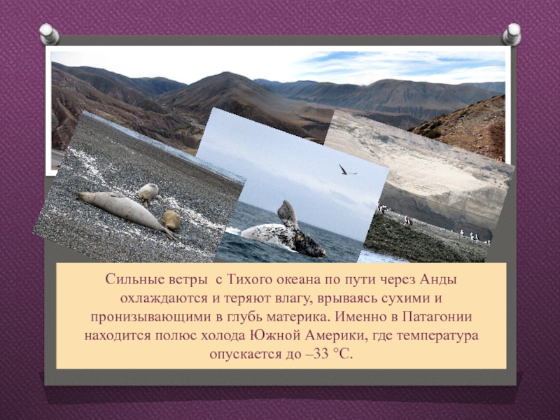 Природные ресурсы тихого океана. Другие природные ресурсы Тихого океана. Внеандийский Восток кратко. Путь Чихачёва через Анды.