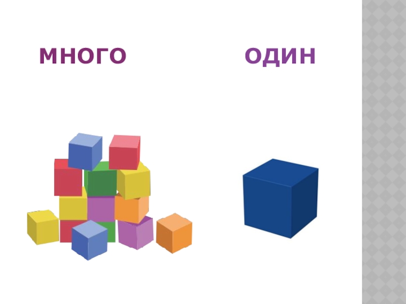 Математика негіздері таразы тех карта