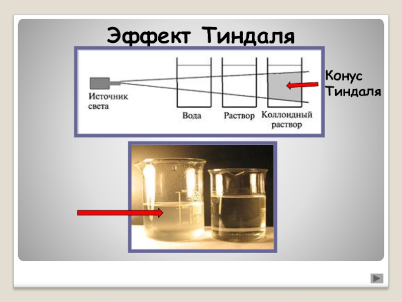 Эффект тиндаля. Конус Фарадея-Тиндаля. Явление Фарадея Тиндаля. Эффект Фарадея Тиндаля. Эффект Тиндаля в коллоидных растворах.