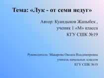 Презентация проектной работы Лук от семи недуг